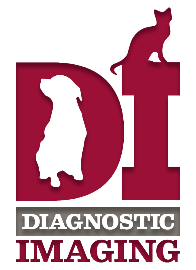 【獣医学】【洋書】Veterinary Diagnostic Radiology Textbook of Veterinary Diagnostic Radiology: 9780323482479